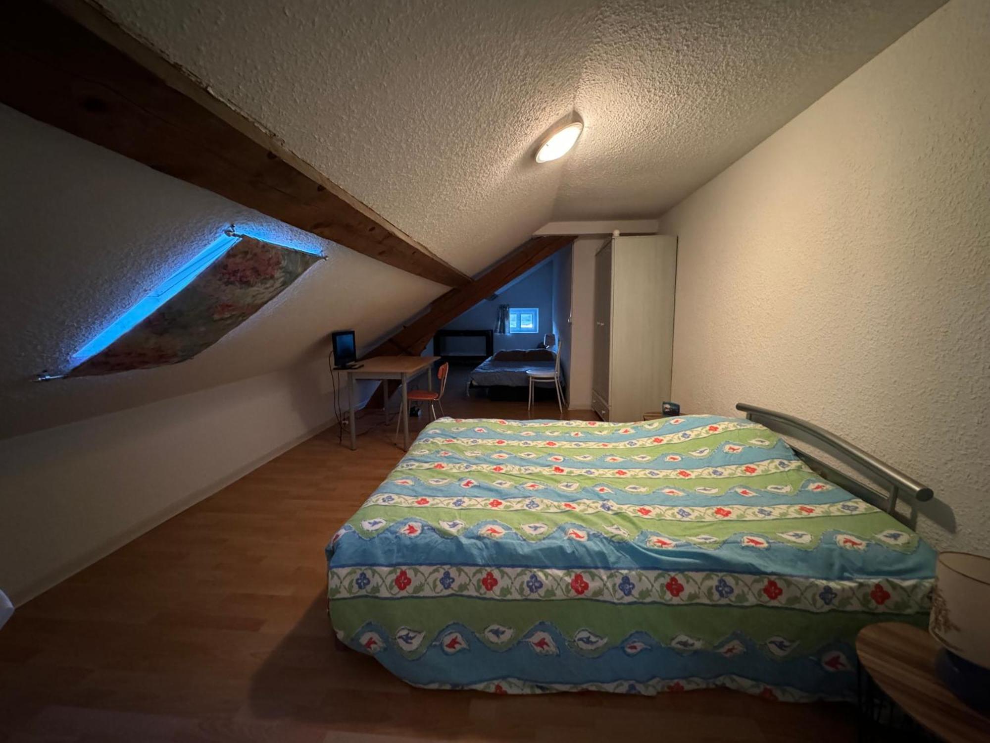Appartement Logis Balneen Bains-les-Bains Exterior foto
